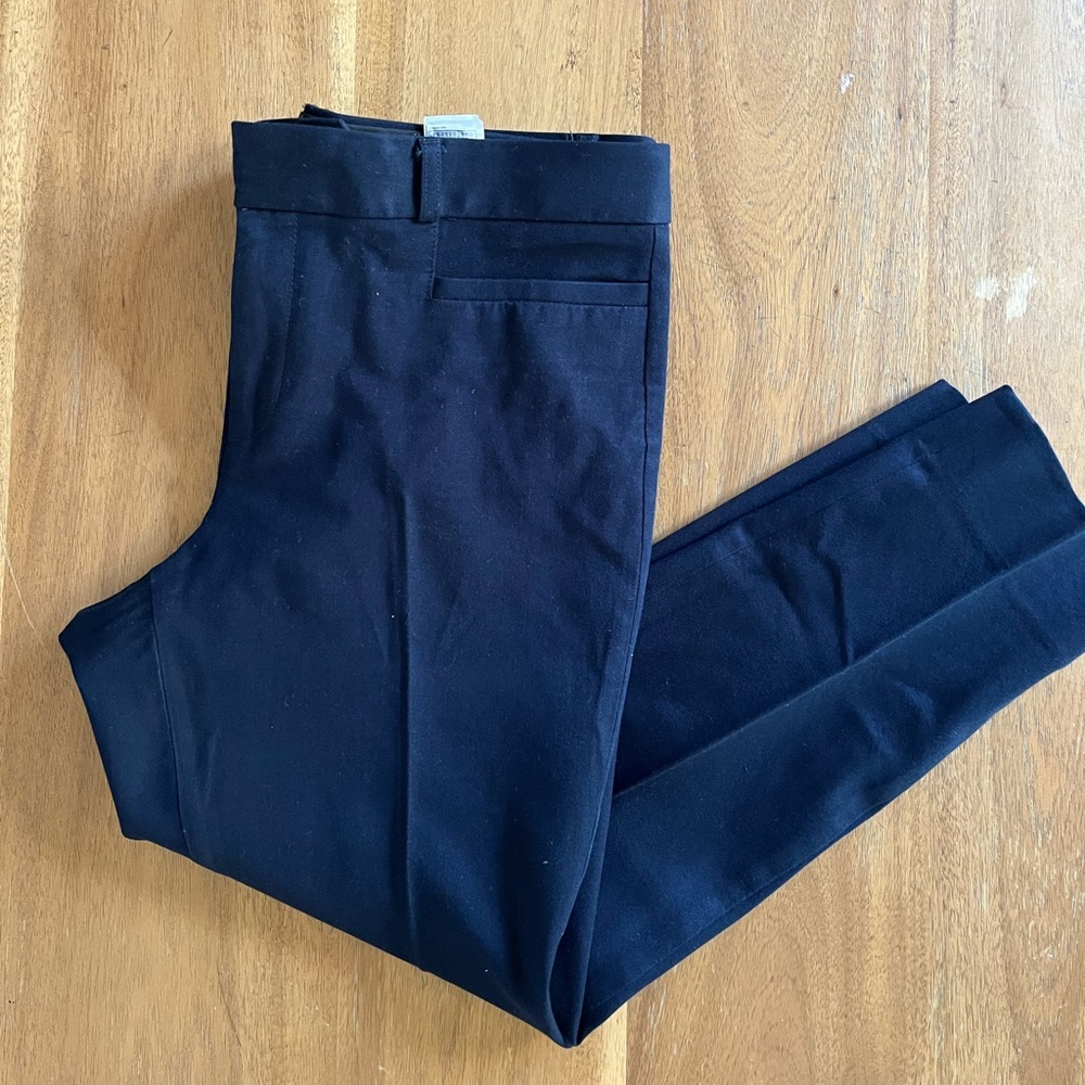 Banana Republic Sloan Pants - 10S